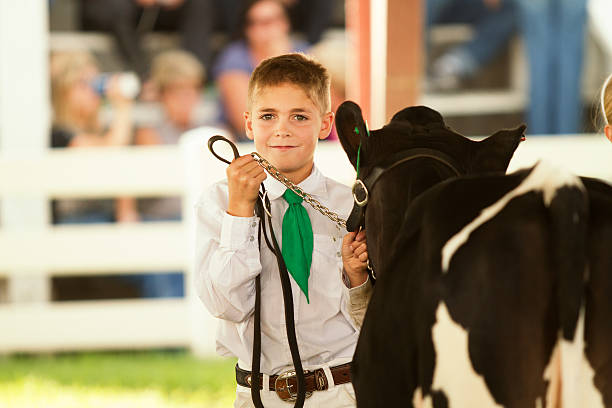 istock Showing at a County Fair 181862718