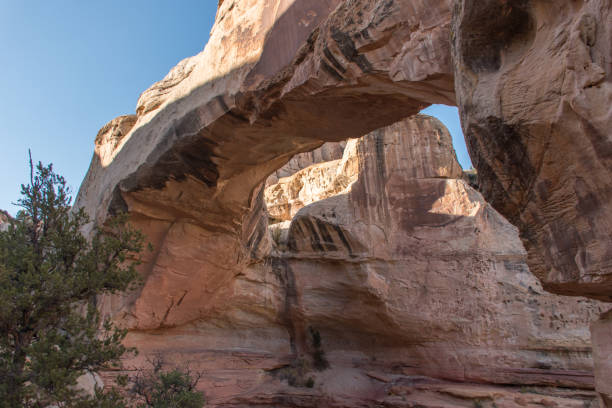 istock Eroded Rock Formation at Capitol Reef National Park 1818628015