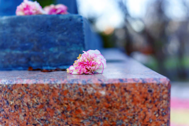 istock Pink carnation on marble stone 1818629134