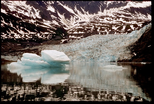 Glacier ice floating in bay in Alaska