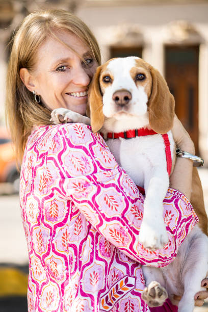 istock Female hugging friendly beagle dog enjoying happy moments while both look at camera 1818636142