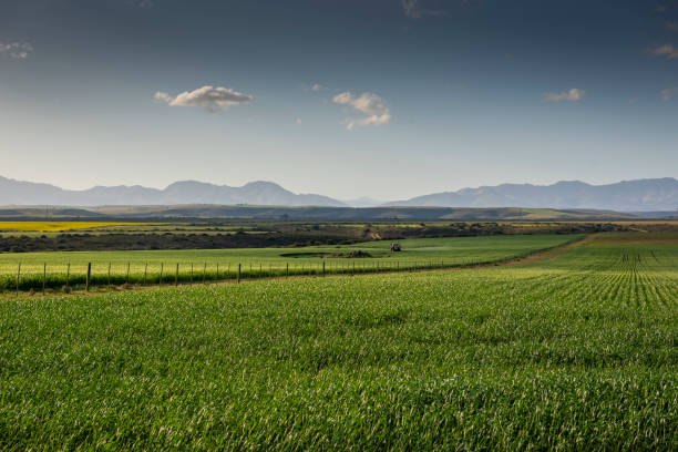 Agricultural fields landscape, Farm Sky Grass Meadow