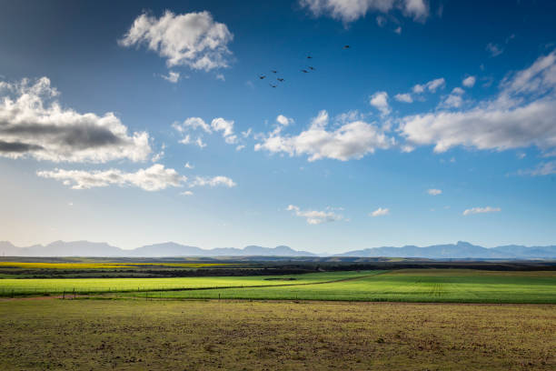 istock Agricultural fields landscape, Farm Sky Grass Meadow 1818637792