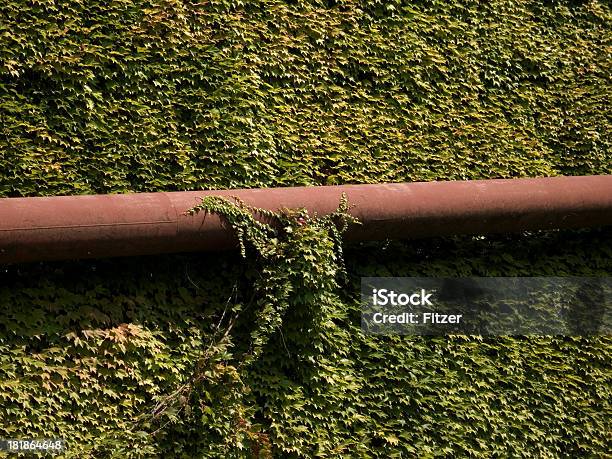 Photo libre de droit de Envahi Par La Végétation Pipe banque d'images et plus d'images libres de droit de Acier - Acier, Bizarre, Cool