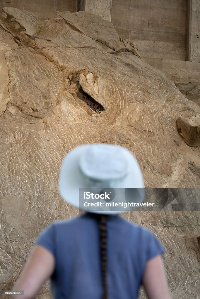Donna vista Camarasaurus scheletro Monumento Nazionale del Dinosauro Utah - Foto stock royalty-free di Dinosauro