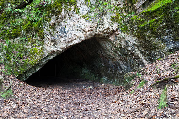 istock Opening of a cave 181864731