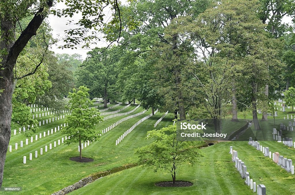 Le cimetière National d'Arlington rouge Spring Creek - Photo de Arbre libre de droits