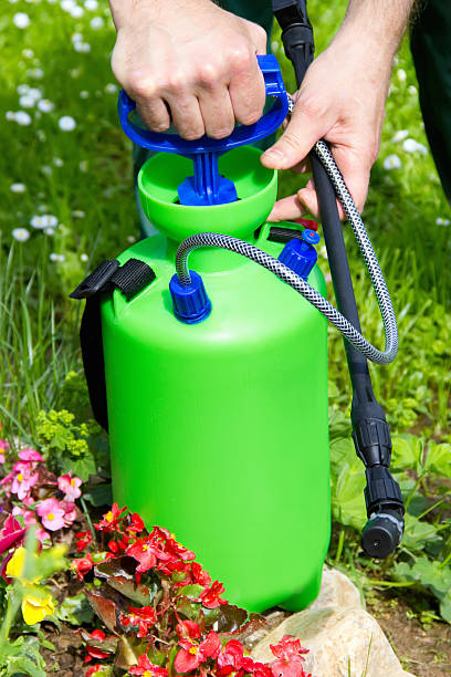 istock man's hand with a sprayer to fertilize 181865139