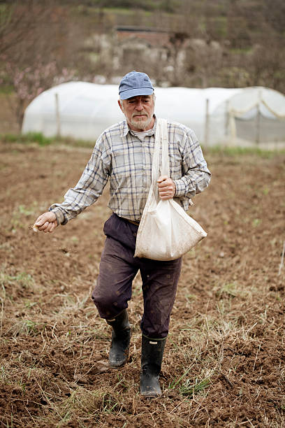 istock senior man sowing field 181865293