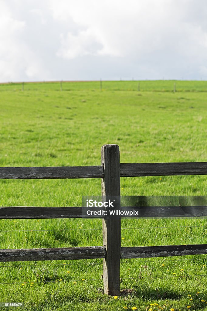 Rustikale elektronischen Zaun umliegenden Weiden grasen - Lizenzfrei Pfosten Stock-Foto