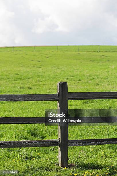 Rustikale Elektronischen Zaun Umliegenden Weiden Grasen Stockfoto und mehr Bilder von Pfosten