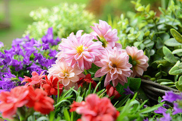 istock flowers in the garden 181866244