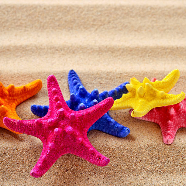 istock Colorful Sea Stars with copy space on sand 181866302