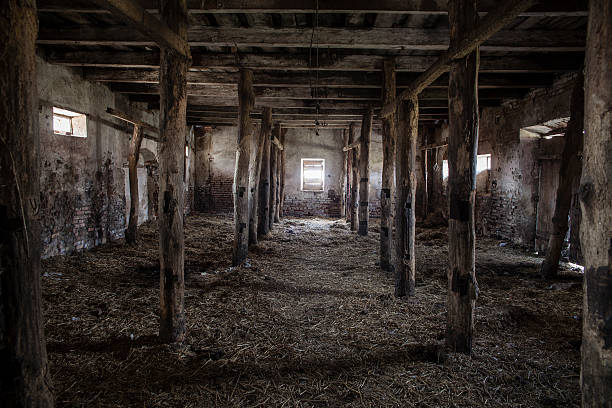 Old obsolete stable in the Velikaya Lipa town, Nesvizh region, Belarus, Eastern Europe. Interior.