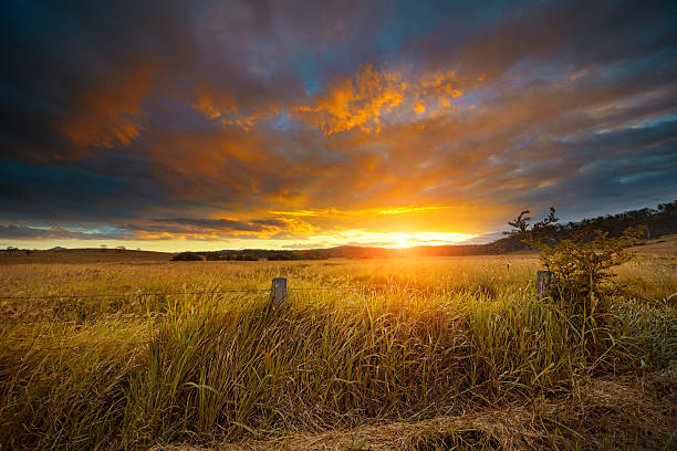 australian paisagem no pôr do sol - grandchester imagens e fotografias de stock