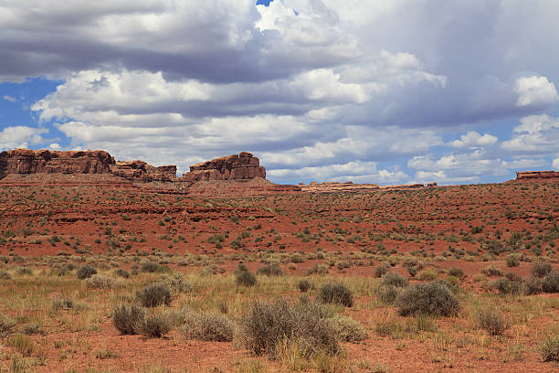 istock Valley of the Gods, Utah 181866939
