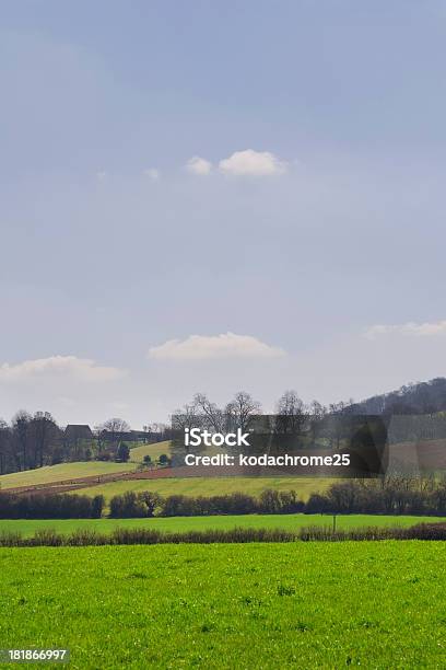 Campo Foto de stock y más banco de imágenes de Agricultura - Agricultura, Aire libre, Barbecho