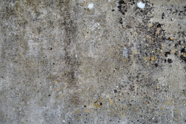 istock beautiful abstract grungy blue stucco wall background. texture backdrop. bump or displacement map. 1818671039