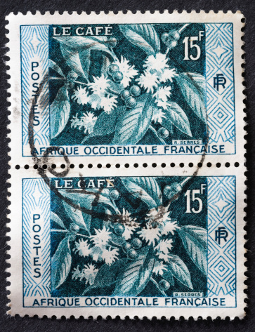 Pair of Postage stamps issued in west French Africa showing coffee beans growing. Circa 1957
