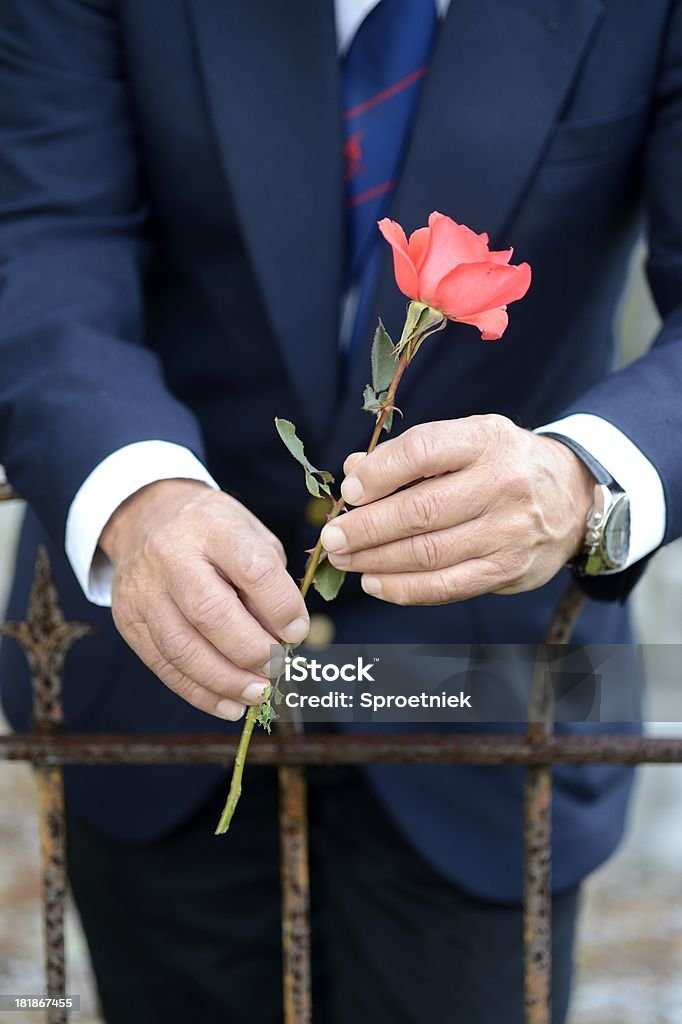 Homem idoso segurando rosa no cemitério vista de frente - Royalty-free Viúvo Foto de stock