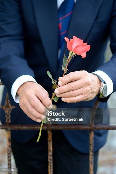 Homem Idoso Segurando Rosa No Cemitério Vista De Frente - Fotografias de stock e mais imagens de Viúvo