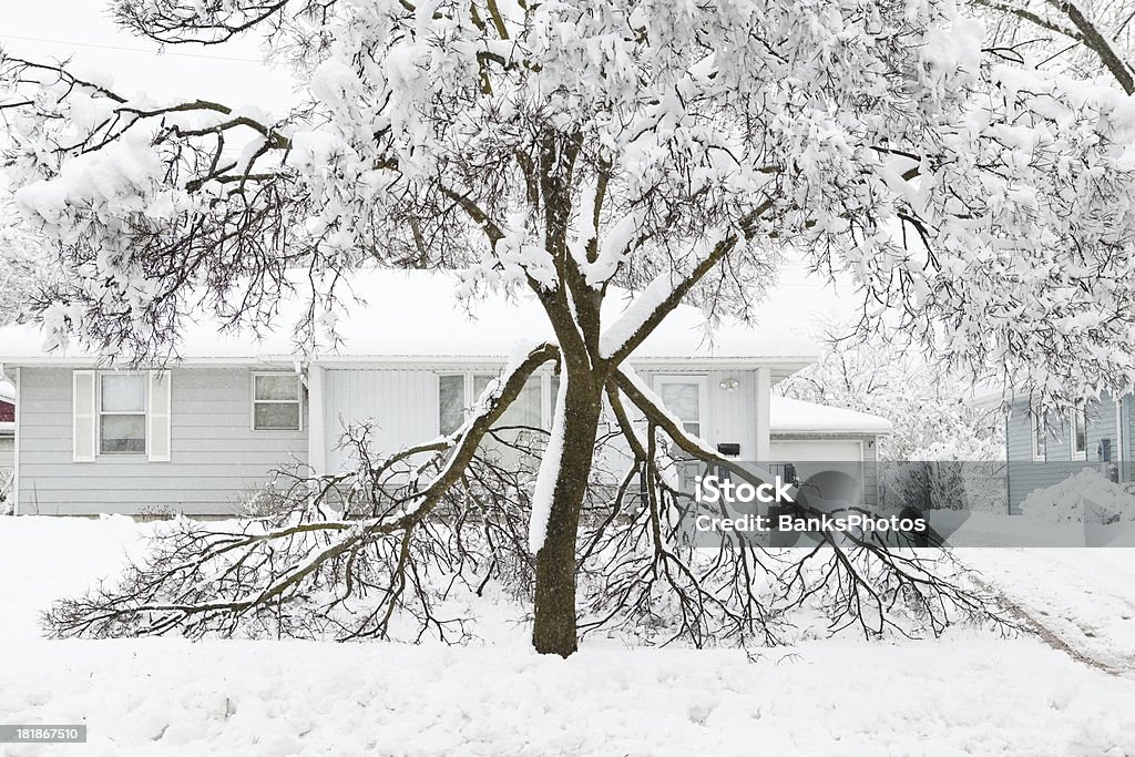 Dañadas durante el invierno Snowstorm árbol - Foto de stock de Nieve libre de derechos