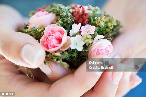 Hände Mit Blumen Stockfoto und mehr Bilder von Attraktive Frau - Attraktive Frau, Bildschärfe, Blütenblatt