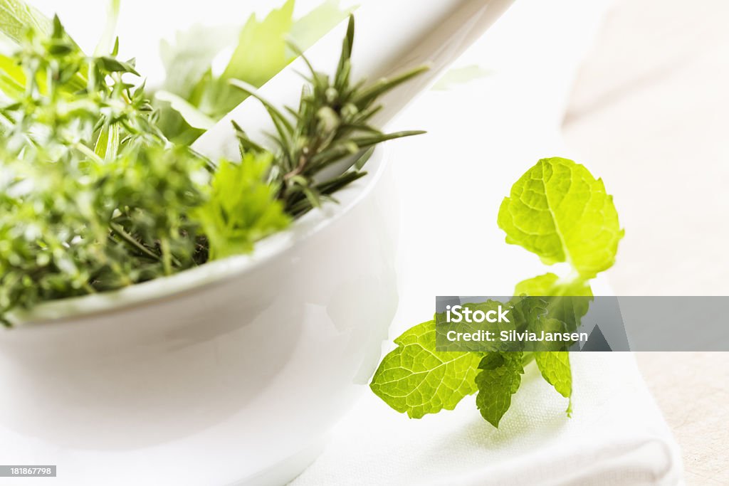 Hierbas frescas, verde - Foto de stock de Albahaca libre de derechos