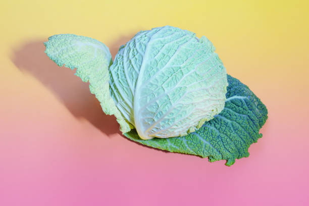 istock Fresh Savoy cabbage head on yellow and pink background. Copy space 1818682820