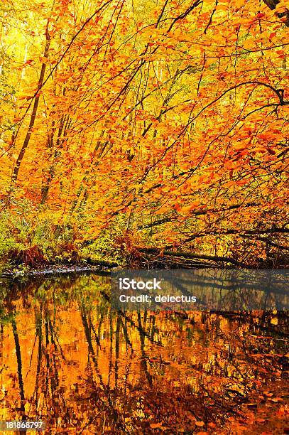 Outono Corrente - Fotografias de stock e mais imagens de Alemanha - Alemanha, Amarelo, Ao Ar Livre