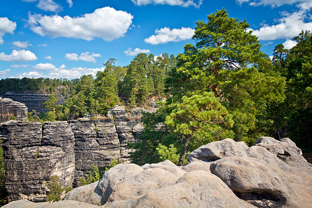 Erosion of rocks, Hrensko, Elbsandstein Mountains, Bohemian Switzerland, Czech Republic
