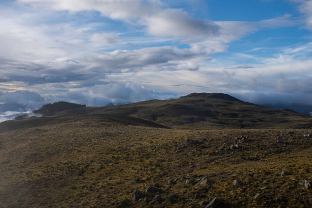 istock landscape with clouds and high mountain vegetation 1818689897