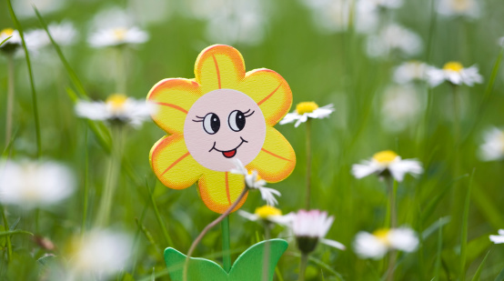 a flower decoration inserted between daisies in a meadow