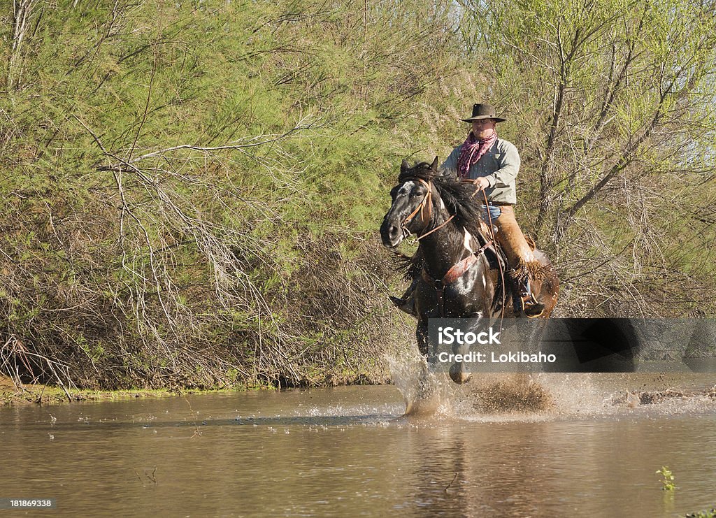 Horseman corrida no rio - Foto de stock de Adulto royalty-free