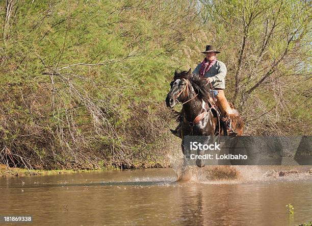Foto de Horseman Corrida No Rio e mais fotos de stock de Adulto - Adulto, Animal, Animal de Fazenda