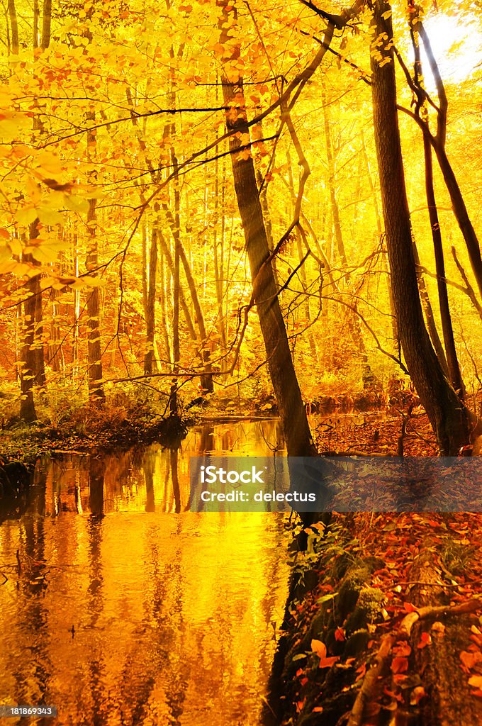 sunny stream valley im Herbst - Lizenzfrei Bach Stock-Foto