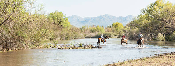 Horsemen resting in the river Three cowboys / cowgirls riding in the Salt River with Mountains in the background.  Panarama salt river photos stock pictures, royalty-free photos & images
