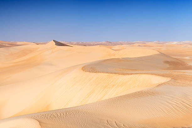 istock Great Sand Sea, Libyan Desert, Africa 181869604
