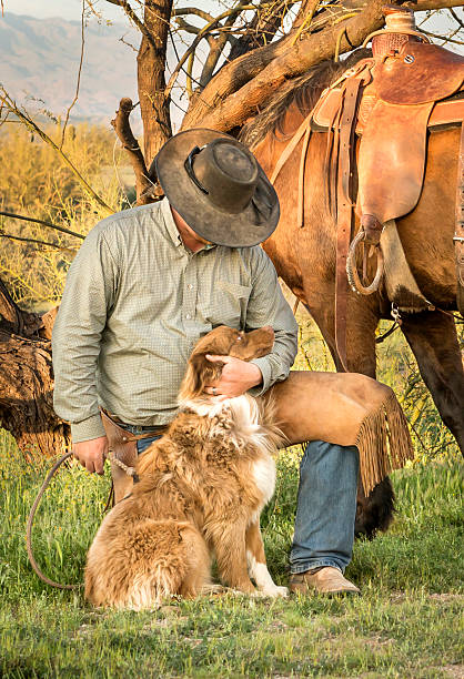 istock Kneeling Cowboy praising his dog 181869773