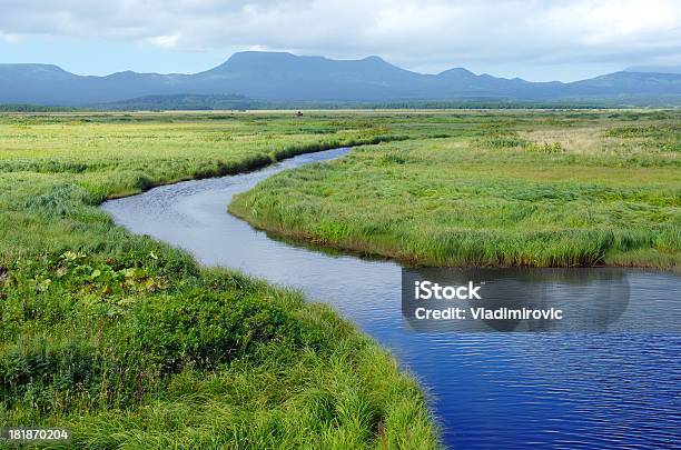 Green Valley Stockfoto und mehr Bilder von Feld - Feld, Fluss, Agrarbetrieb