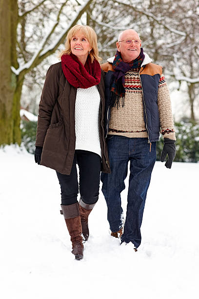 istock Smiling senior couple talking a walk in snow 181870244