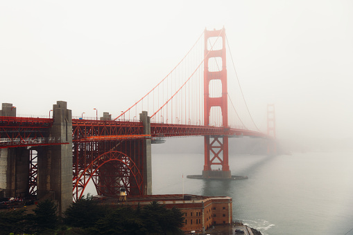 Dramatic view of cars driving big red bridge above Pacific Ocean during spring cloudy morning with flowers in San Francisco city, the United States