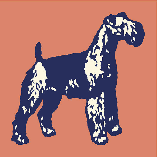 große hund - airedaleterrier stock-grafiken, -clipart, -cartoons und -symbole