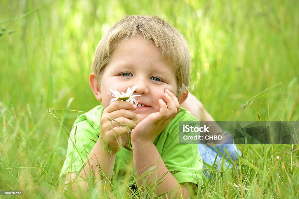 Menino com uma flor. - Foto de stock de Aluno de Jardim de Infância royalty-free