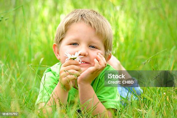 Foto de Menino Com Uma Flor e mais fotos de stock de Aluno de Jardim de Infância - Aluno de Jardim de Infância, Branco, Criança