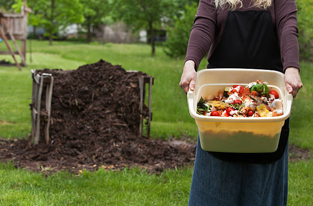 新鮮な廃棄を堆肥パイル - husk tomato ストックフォトと画像