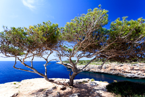 Cala Pi, Majorca, Spain