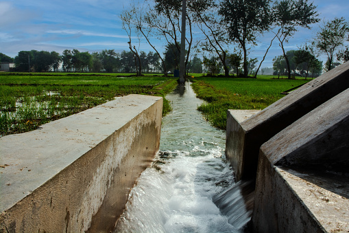 Water channel for irrigation in the agricultural field