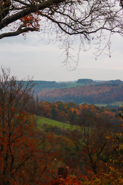 istock View of Autumn leafs 1818729143