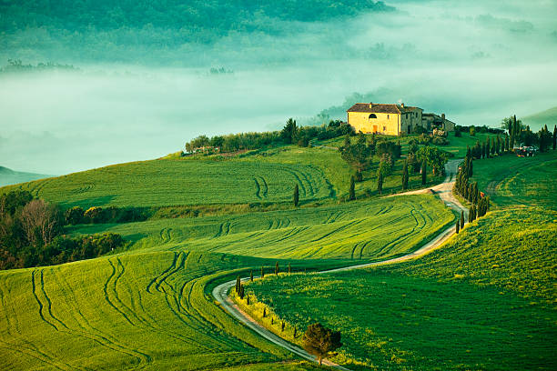 istock Misty Morning in Tuscany, Italy 181873005
